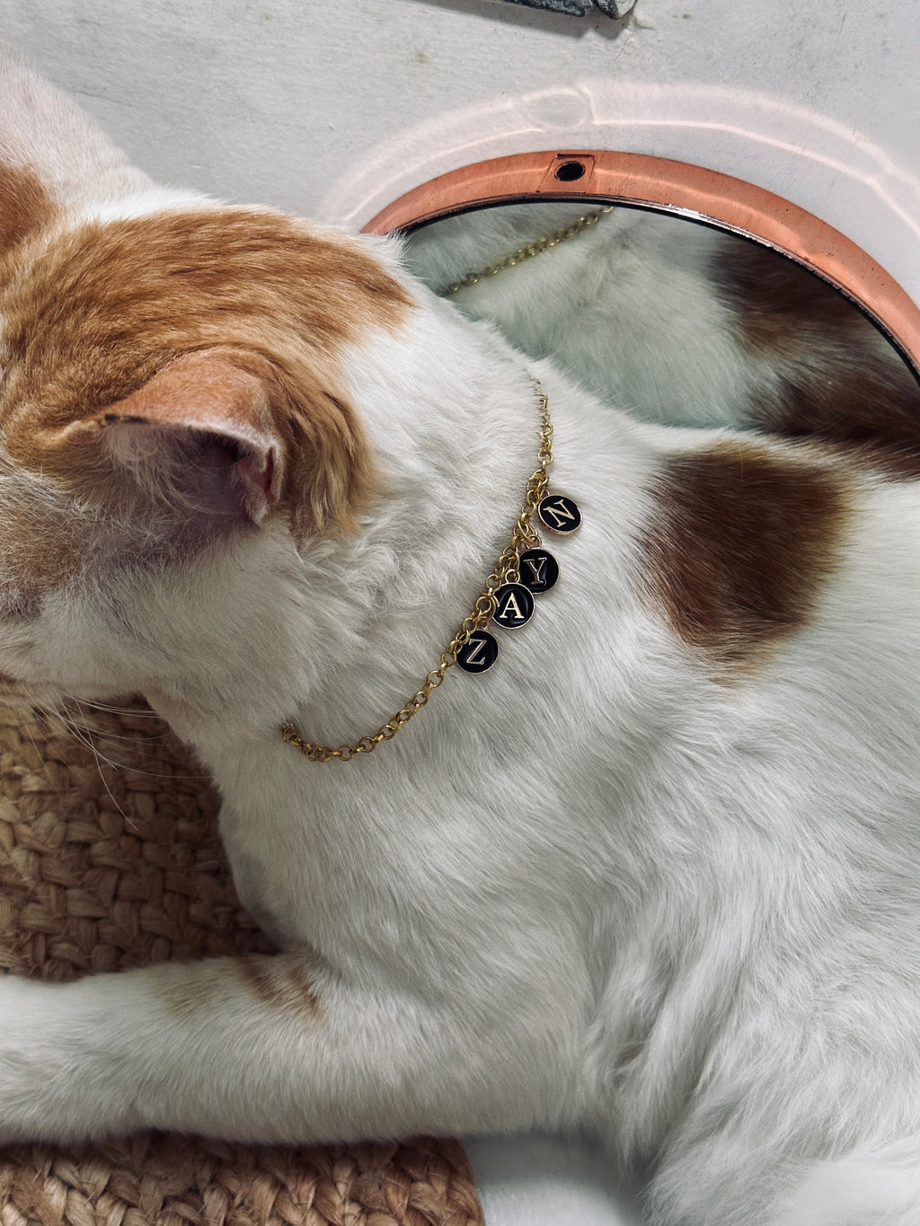 Name pendant for pets💗🫶🏻
