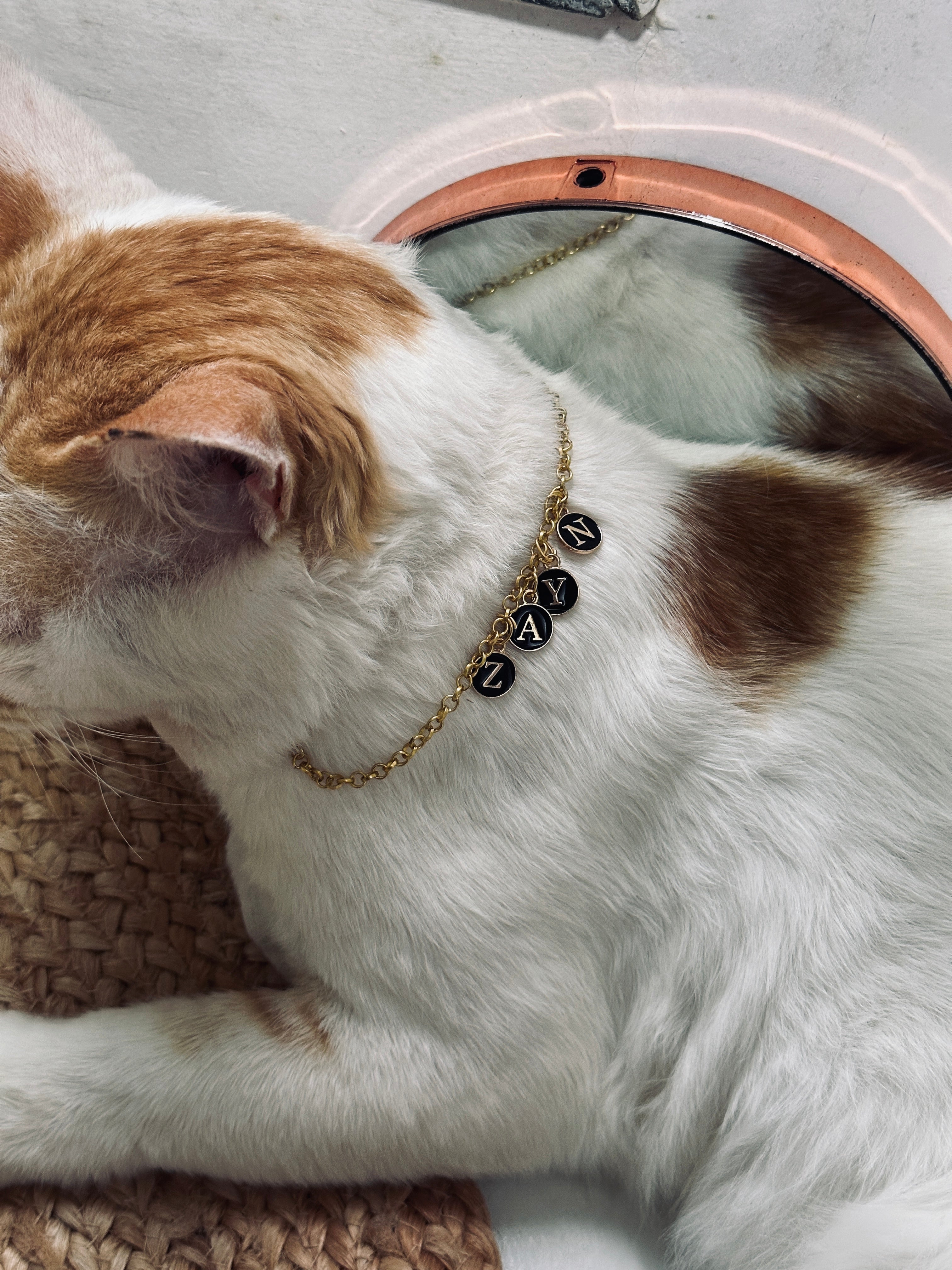 Name pendant for pets💗🫶🏻