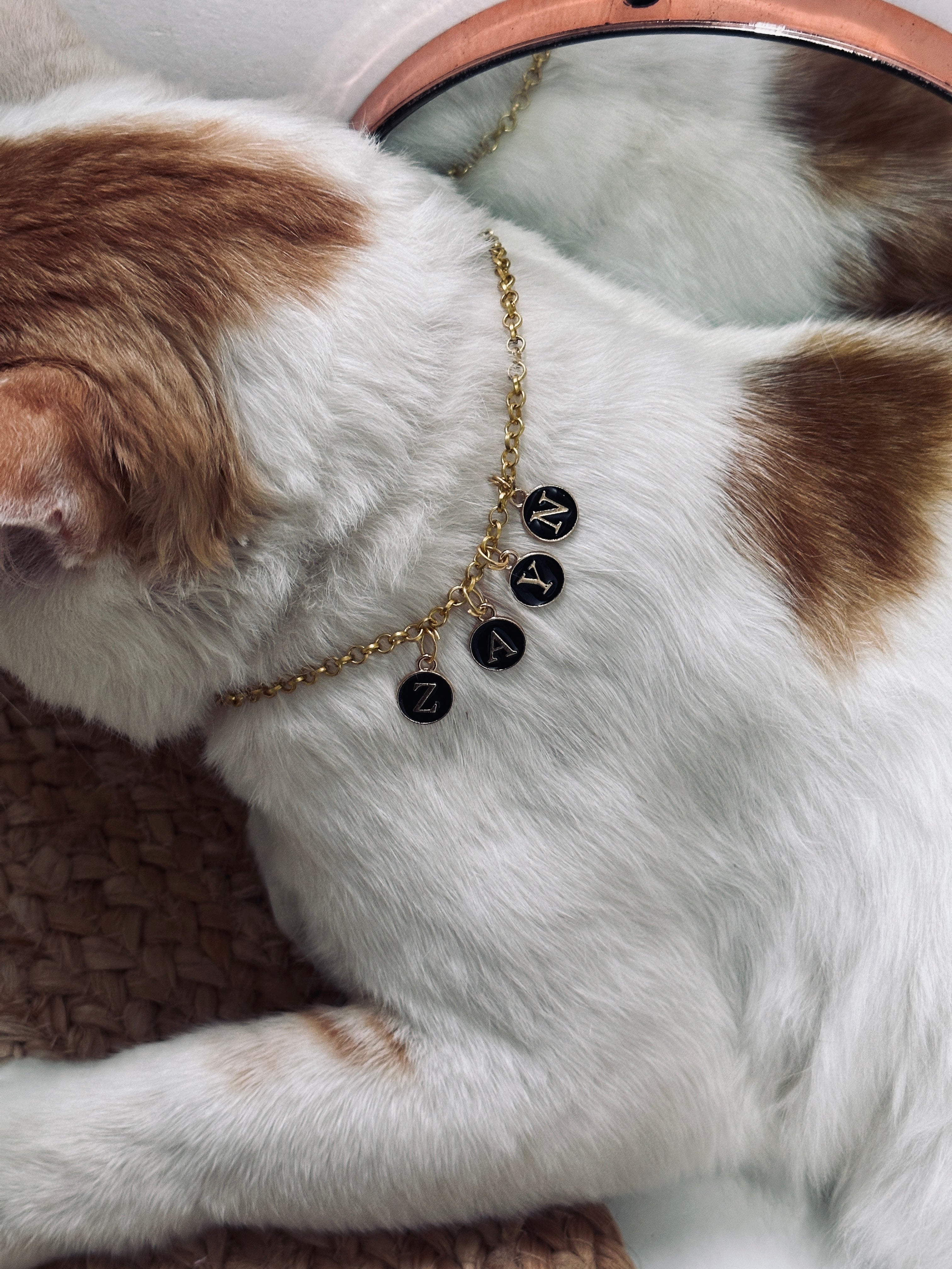 Name pendant for pets💗🫶🏻